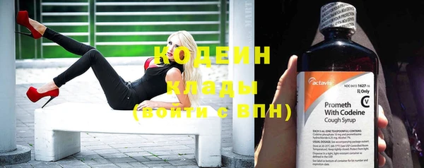 дживик Сясьстрой