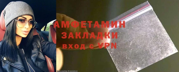 гидра Тавда