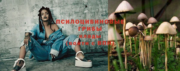 гидропоника Алексеевка