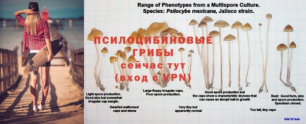 гашишное масло Алзамай