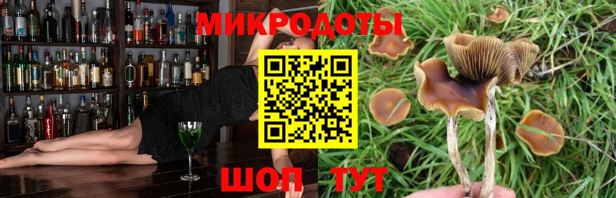 Псилоцибиновые грибы мицелий Волгоград