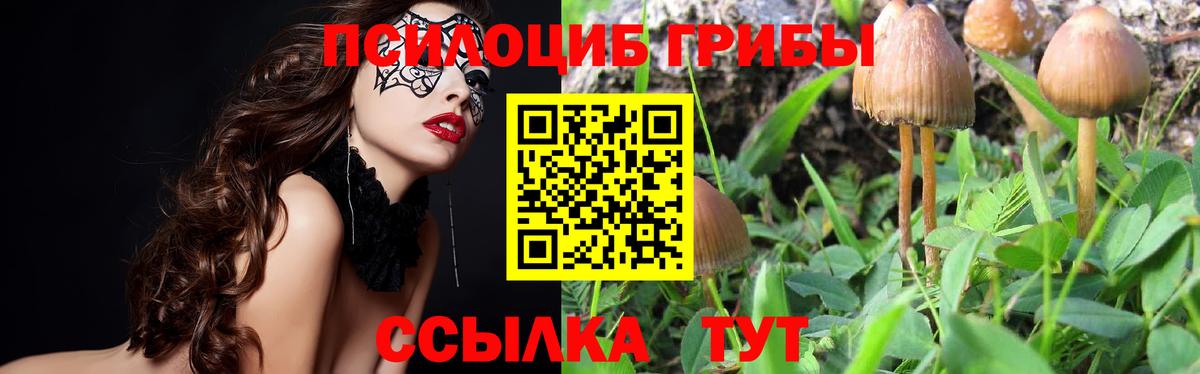 Галлюциногенные грибы мицелий  Галлюциногенные грибы ЛСД  купить  сайты  Волгоград  Вход с VPN 